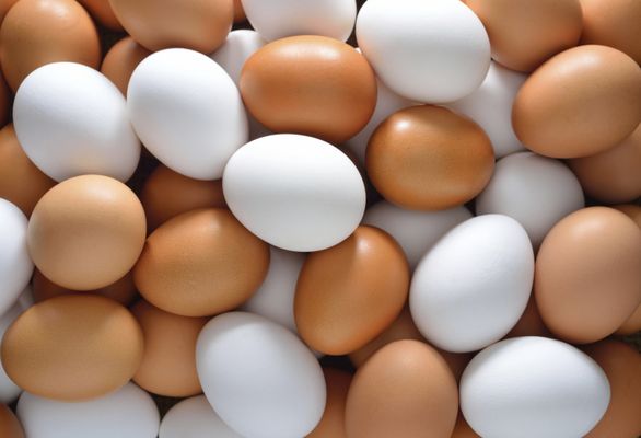 Brown and white eggs